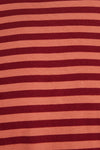 Stockholm Stripes T-Shirt Terracotta Dedicated